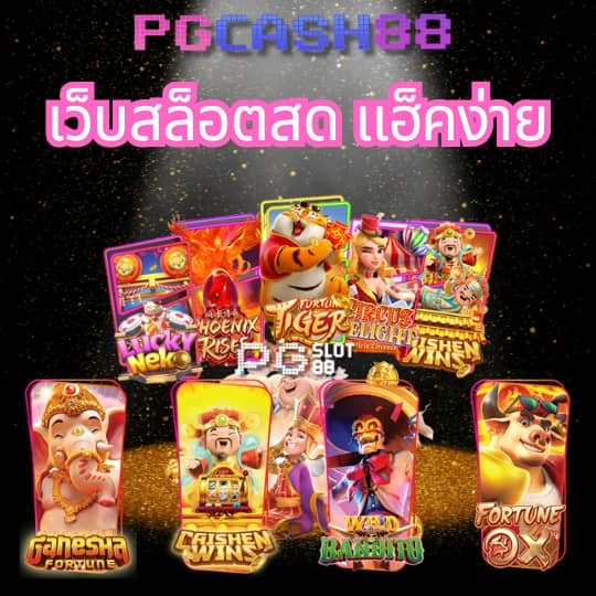 แพนด้า1234