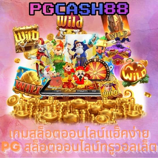 แพนด้า1234